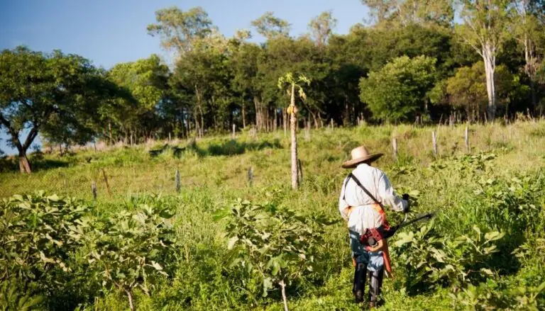 controle de ponto do trabalhador rural
