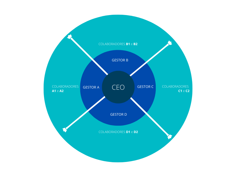 03-Org-Circular-new organograma empresa