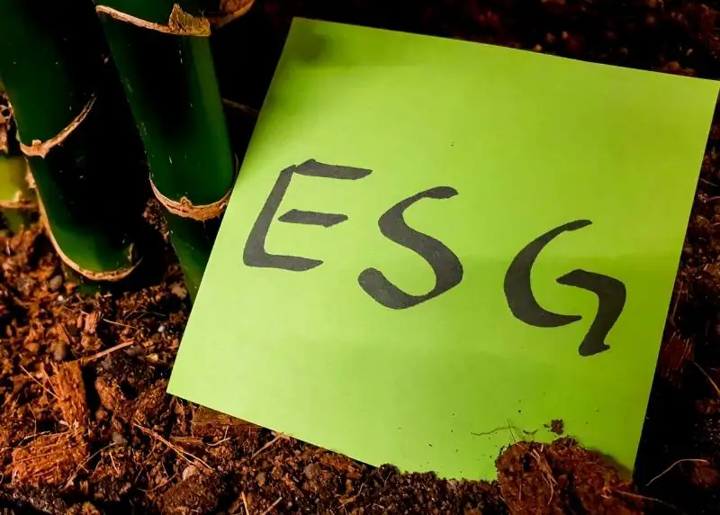 ESG-o-que-significa-1 ESG