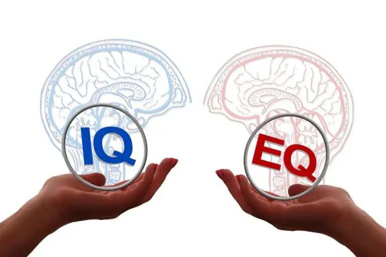 ie2