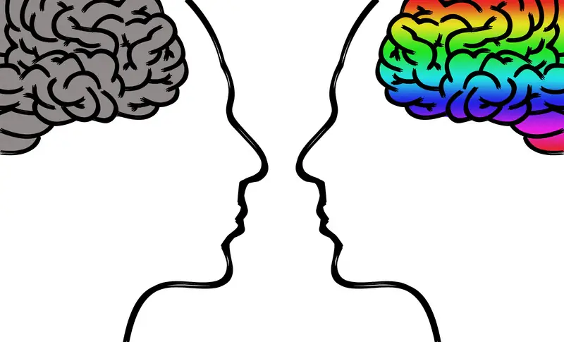 comparação de diferentes cérebros: cérebro emocional e cérebro pensante comparação de diferentes cérebros: cérebro emocional e cérebro pensante