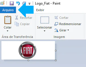 pasted image 0 8 importar logo