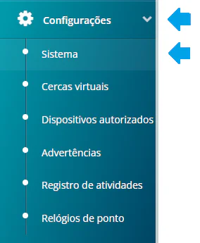 print 1 api