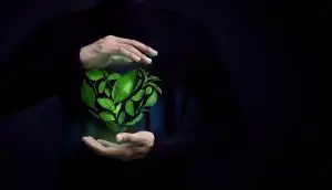 esg o que e descubra agora 1 ESG o que é