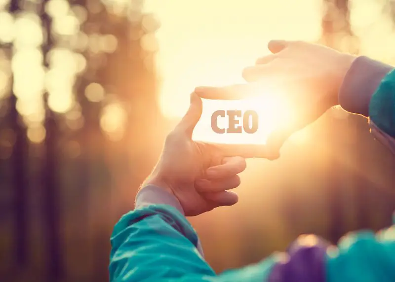 ceo e o dono da empresa 1 CEO é o dono da empresa