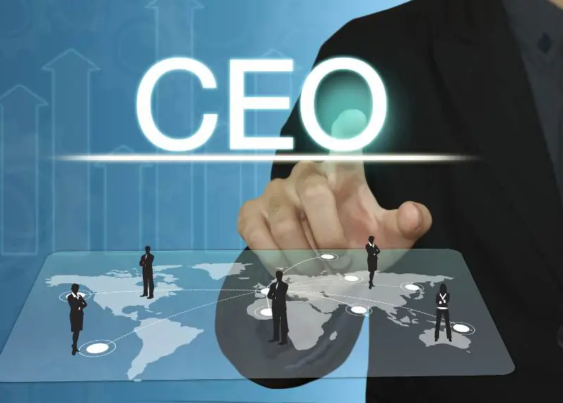 ceo cfo e cmo 1 CEO CFO e CMO