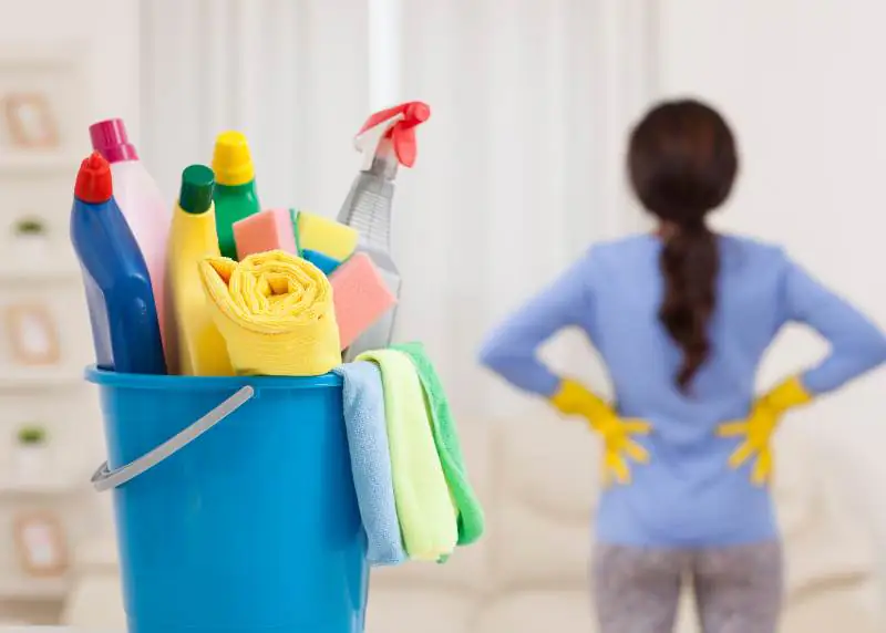 direitos da empregada domestica 2 Direitos da empregada doméstica