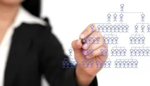 organograma nas empresas