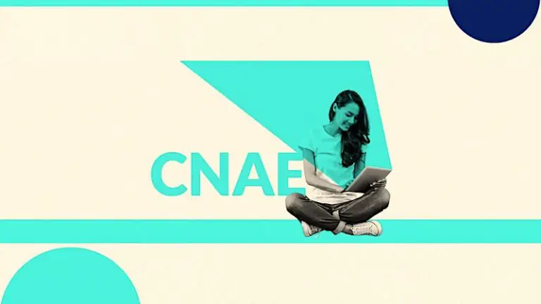 cnae o que é