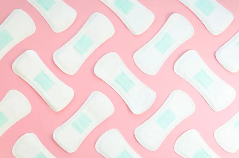 licença menstrual (2)