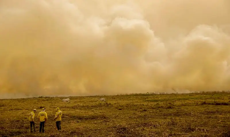 incendios seca historica incêndios seca histórica (crédito: agência brasil)