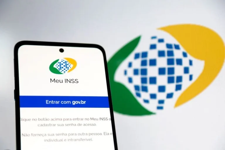 13 inss 2025