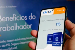 como saber meu pis