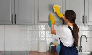 empregadas domésticas