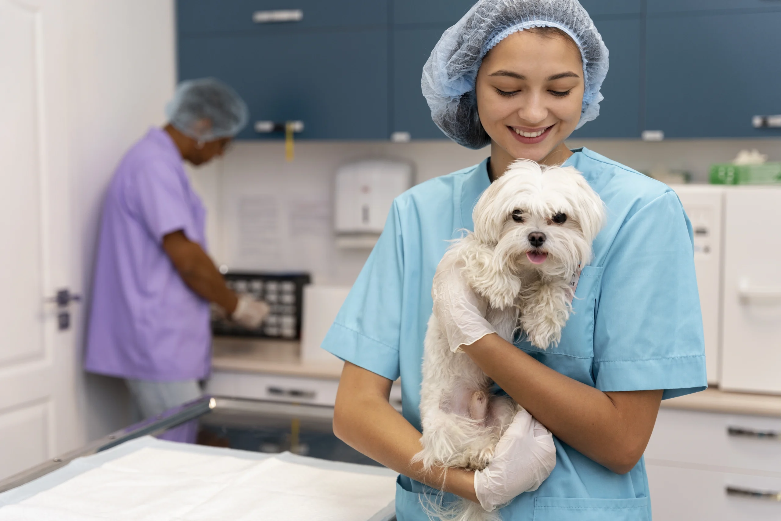 close up veterinarian taking care pet scaled close up veterinarian taking care pet scaled